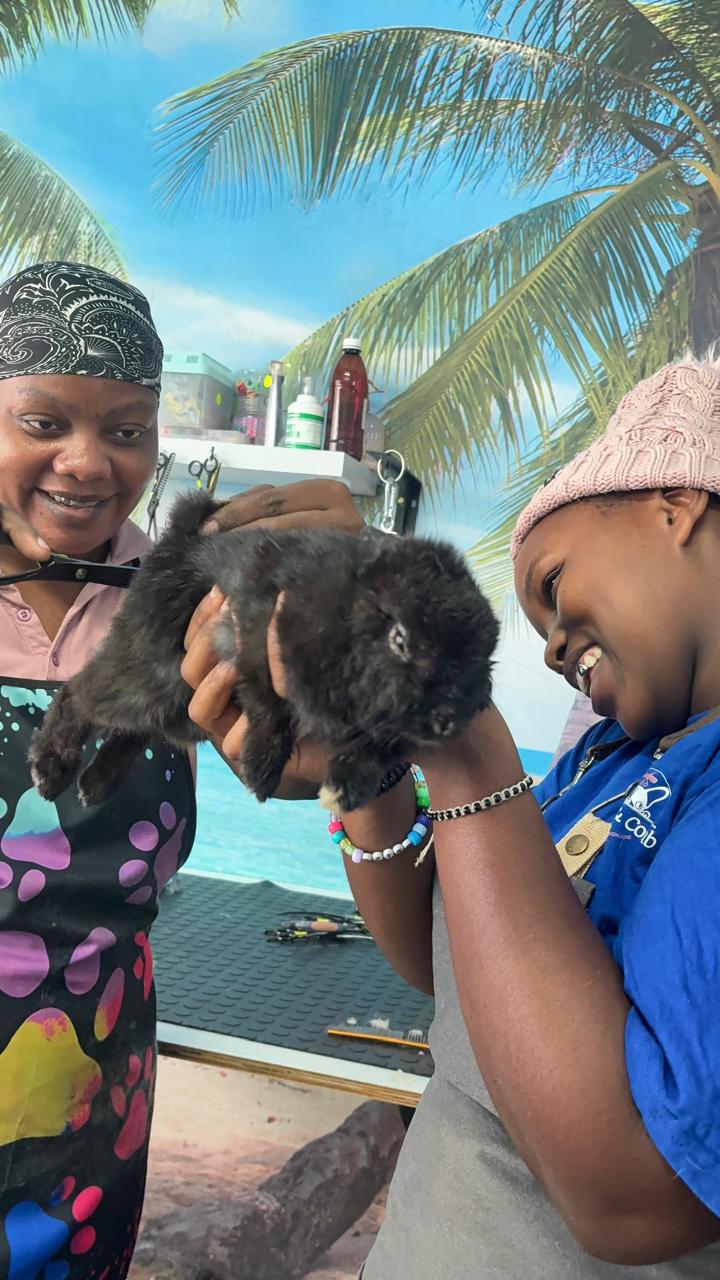 Staff holding a bunny during a grooming session