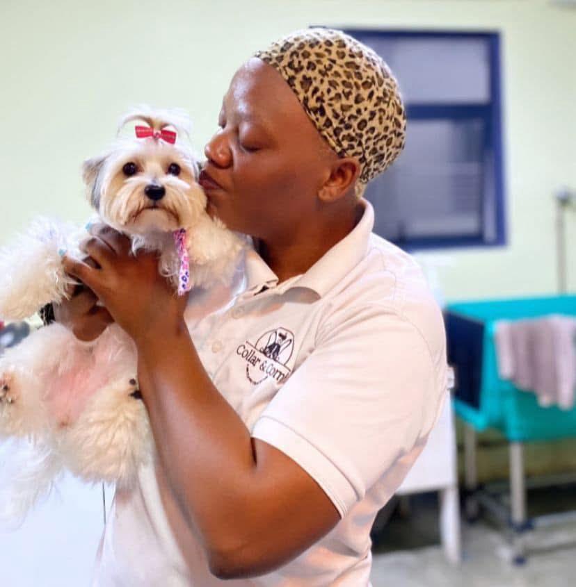 A staff member kissing a small groomed dog with a bow