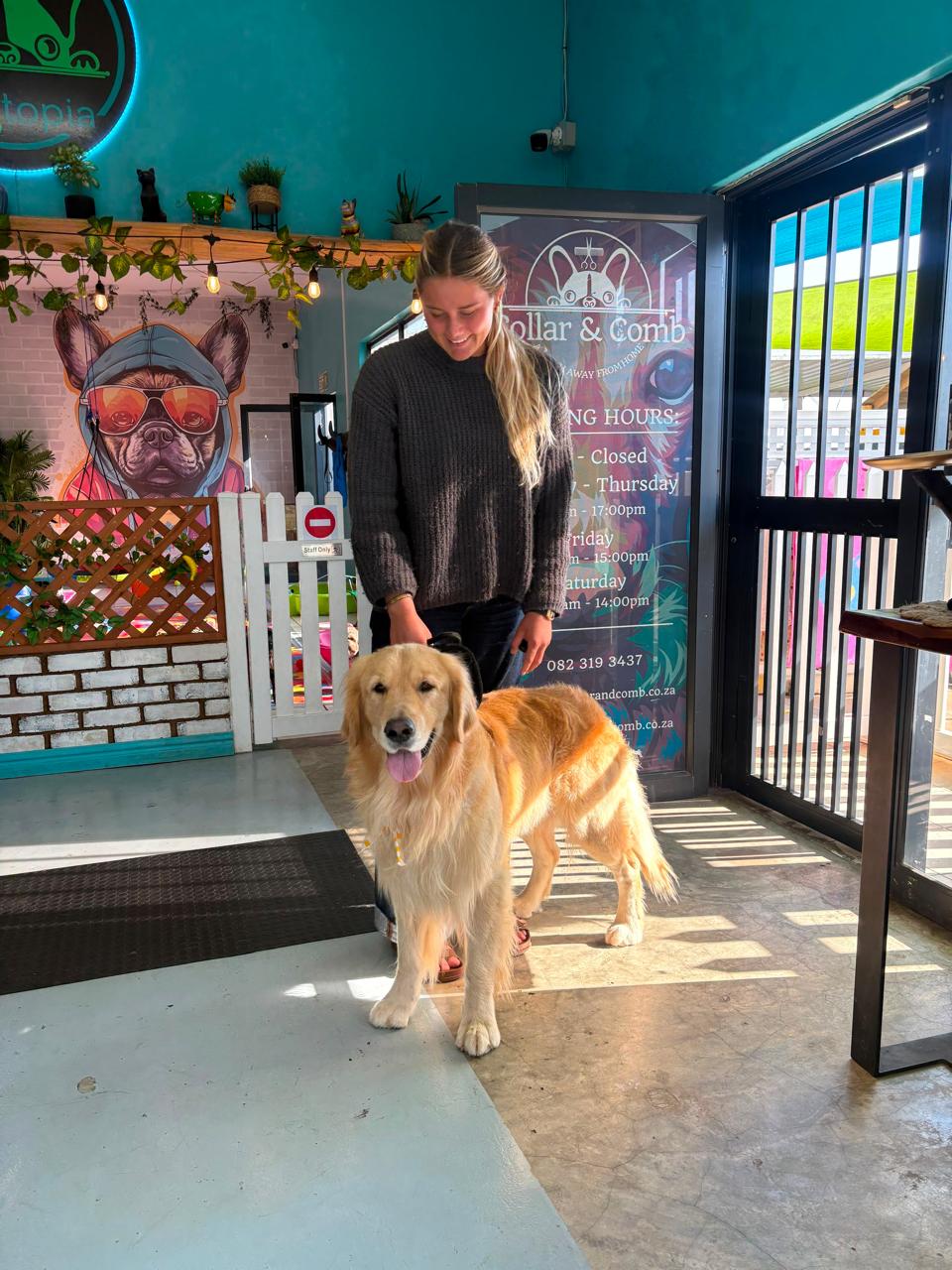 A golden retriever with a staff member at the daycare gate
