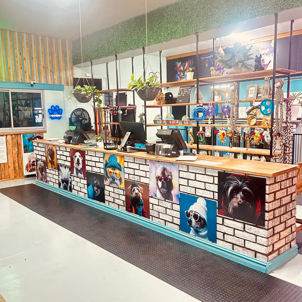 The Collar & Comb reception counter, hung with painted pet portraits, where drop-offs and consults happen
