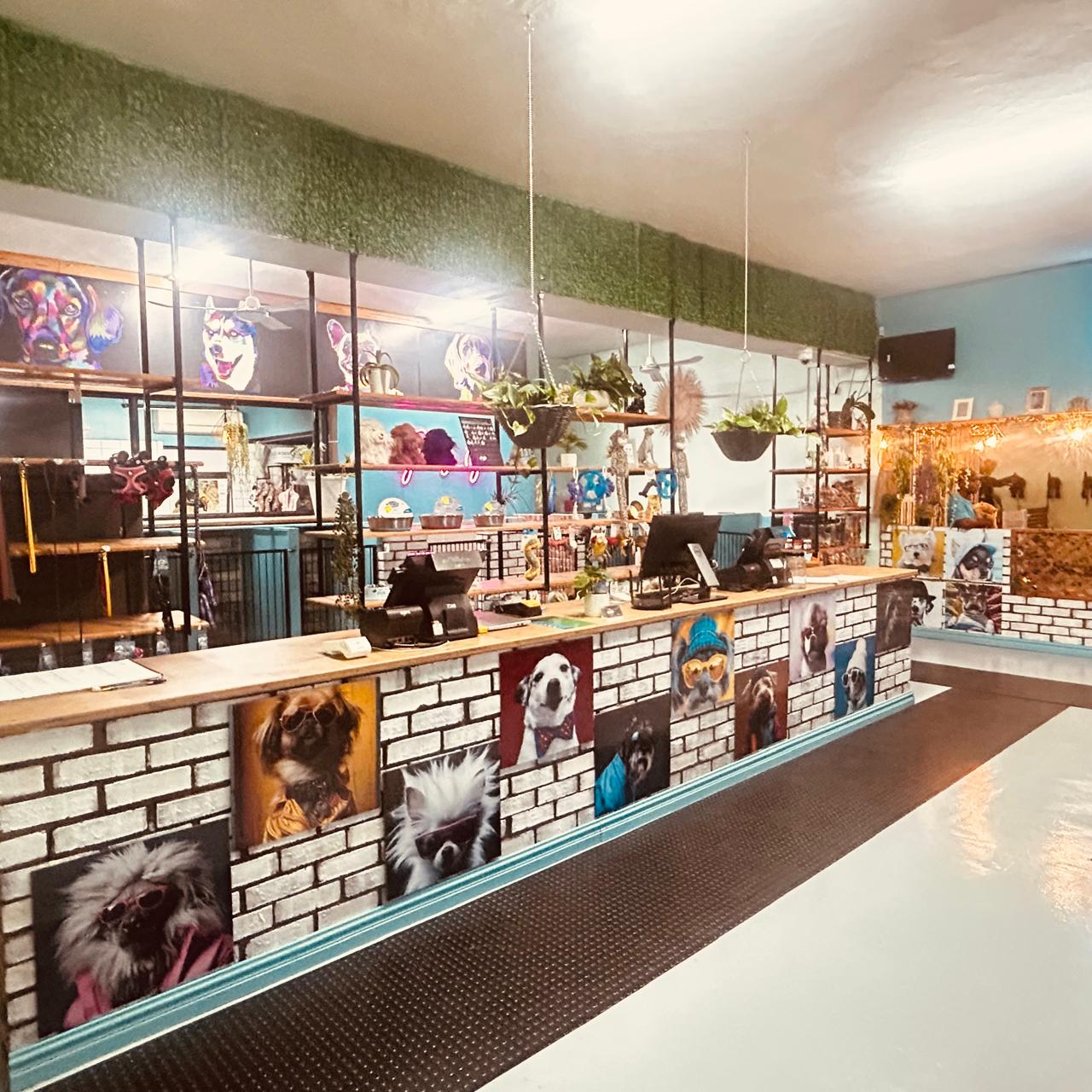 The reception counter, decorated with pet portraits